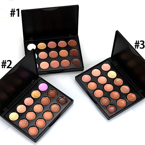 Correcting Concealer Cream BB Cream 15 Colors Makeup Face Foundation Trimming Cover Dark Circles Freckles Acne Camouflage Palette (C)