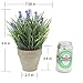 Velener Artificial Flowers Provence Lavender Arrangements in Pots for Home Decor (Purple, Green)