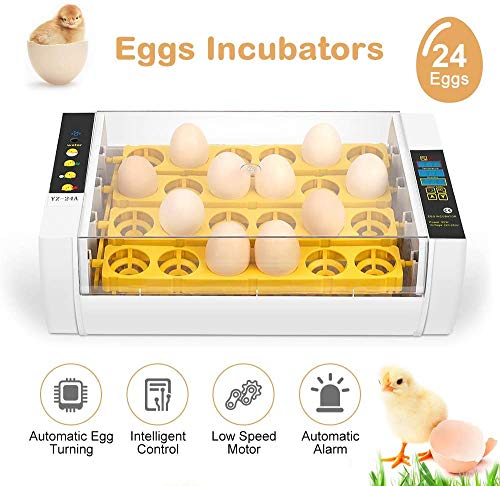 Egg Incubator for Hatching Chicks, 24 Eggs Automatic Egg Incubator