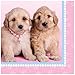 Glamour Dogs Lunch Napkins by Rachael Hale (20)