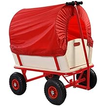 Amazon.com: children of the covered wagon