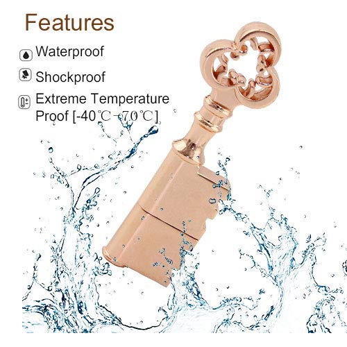 CHUYI Metal Rose Gold Key Shape 64GB USB 2.0 Flash Drive Cool Pen Drive Waterproof Memory Stick Data Storage Funny Thumb Drive U Disk Gift