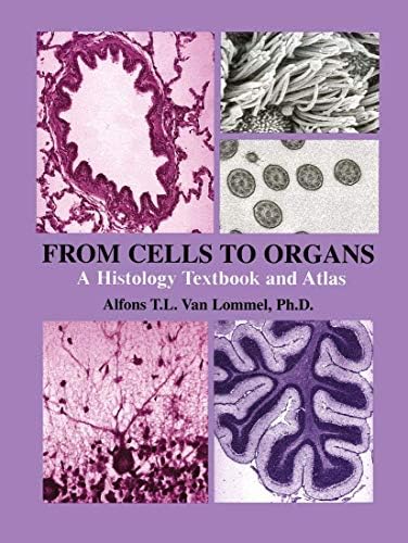 洋書 HISTOLOGY of the HUMAN EYE Histology of the human eye;: An atlas and textbook: Hogan, Michael