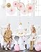 My Mind's Eye - Fancy Pink Gold and Ivory Paper Party Fans - 8 Count - Decorations