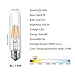 Dimmable Edison Led, Tubular Bulb T10, 6W Vintage Led Filament Light Bulb, 60W Equivalent, 2700K Soft White, E26 Medium Base Lamp Bulb, for Display Cabinet Showcase Piano, 6 Pack