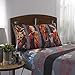 Franco Kids Bedding Super Soft Sheet Set, Full, Jurassic World