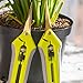The Relaxed Gardener Gardening Scissors Set - Curved and Straight Titanium Coated Blade Micro Tip Pruning Shears - Super Sharp Trimmers for Plants with Anti-Rust Coating