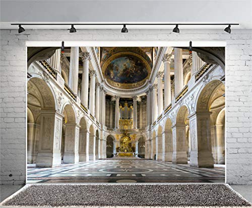 LFEEY 5x3ft Interior of Old Cathedral Backdrop Photography Background Magnificent Church World Famous Scenery Religious Belief Wedding Shooting Backdrop Children Kids Adults Portraits Photo Studio