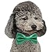YOY Handcrafted Adorable Pet Bow Ties - 6-Pack Adjustable Neck Tie 10