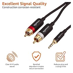 Amazon Basics 3.5mm to 2-Male RCA Adapter Audio