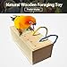 Hamiledyi Bird Foraging Toy Wooden Parrot Training Feeder Toys Creative Colors Identify Food Box Intelligence Toys for Medium and Large Parrots Sun Conures, Caique, Cockatoothumb 3