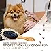 Paws Pamper Boar Bristle & Pin Brush for Dogs and Cats - Beechwood Handle (Cappuccino White)