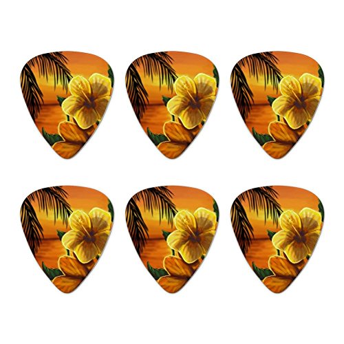 Beach Sunset Hibiscus Flower Hawaiian Novelty Guitar Picks Medium Gauge - Set of 6
