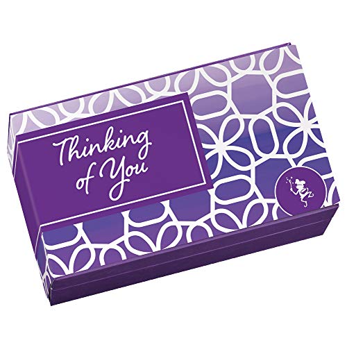 Fairytale Brownies Thinking of You Magic Morsel Dozen Gourmet Chocolate Food Gift Basket for Sympathy Good Luck or All-Occasion - 1.5 Inch x 1.5 Inch Bite-Size Brownies - 12 Pieces - Item HT412