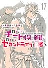 追放されたチート付与魔術師は気ままなセカンドライフを謳歌する。 第17巻