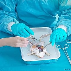 DEXSUR Dissection Kit for Biology Lab & Anatomy