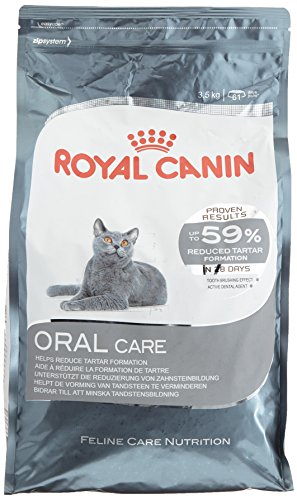 royal canin oral care cat