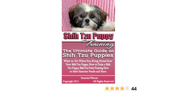 how to potty train a shih tzu puppy