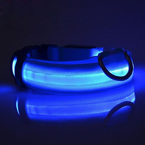 Pet Led Dog Collars For Dogs Pets Cats Glow Rechargeable Led Collars Flashing Light Up Nylon Collar Night Safet Productos Dark Dog Leash Size Extra Small Blue