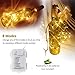 36ft 100 LED Battery Operated String Lights with Auto-Timer for Outdoor Garden Patio Lawn Party (IP65 Waterproof, 8 Modes, 120 Hours of Lighting, Warm White)