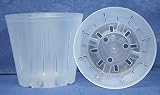 Clear Plastic Pot for Orchids 5 inch Diameter - Quantity 2