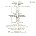 Grigory Sokolov - Limited Edition, Vol. 1