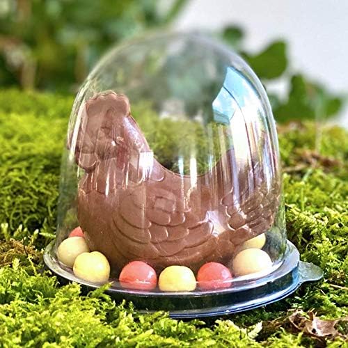 Chocolat De Paques Poule En Chocolat Sous Cloche Sur Lit D Oeufs Chocolat De Paques Gourmandises De Paques Oeufs En Chocolat Amazon Fr Epicerie