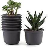T4U 5 Inch Plastic Round succulent Plant Pot/Cactus Plant Pot Flower Pot/Container/Planter Tan Package 1 Pack of 8