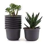 T4U 5.75 Inch Plastic Round Plant Pot/Cactus Flower Pot/Container Brown Set of 8,Seeding Nursery Planter Pot with Drainage for Flowers Herbs African Violets Succulents Orchid Cactus Indoor Outdoor