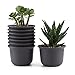 T4U 5 Inch Plastic Round Plant Pot/Cactus Flower Pot/Container Brown Set of 8,Seeding Nursery Planter Pot with Drainage for Flowers Herbs African Violets Succulents Orchid Cactus Indoor Outdoor