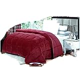 Flannel Goose Down Alternative Comforter , Reversible, Siliconized 7D over-Filled Fiber, Hypoallergenic, Duvet Insert, Barrier on Dust Mites and Allergens ,Full/Queen, 86"Hx86"W
