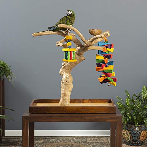 Prevue Pet Products Coffeawood Tree Mini Table Top (Large)