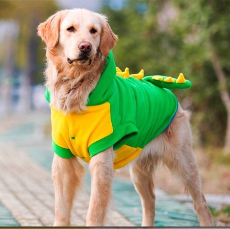 Colorfulhouse® Halloween Dinosaur Pet Costume for Large Dogs