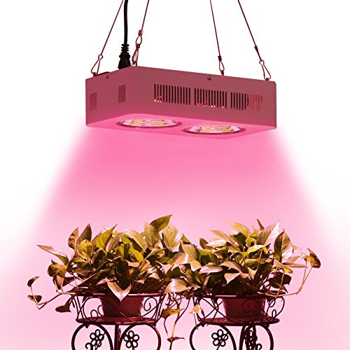 Roleadro 400W COB Full Spectrum LED Grow Light with Innovated Chips, 2nd Generation