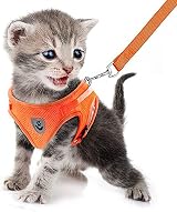 FEimaX Cat Dog Harness and Leash Set No Pull Reflective Mesh Vest