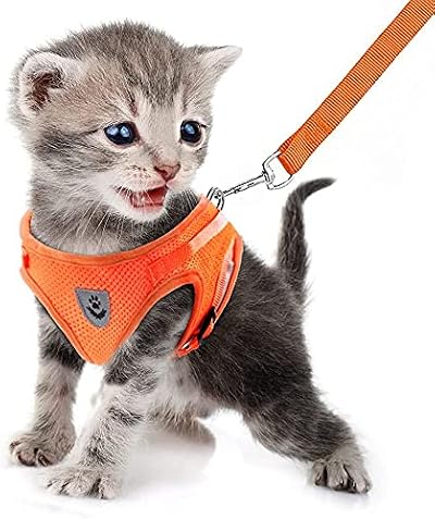 FEimaX Cat Dog Harness and Leash Set No Pull Reflective Mesh Vest