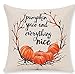 Andreannie Pumpkin Maple Leaf Wreath Pumpkin Spice and Everything Nice Happy Thanksgiving New Room Sofa Car Decorative Cotton Linen Throw Pillow Case Cushion Cover Square 18 X 18 Inches¡­