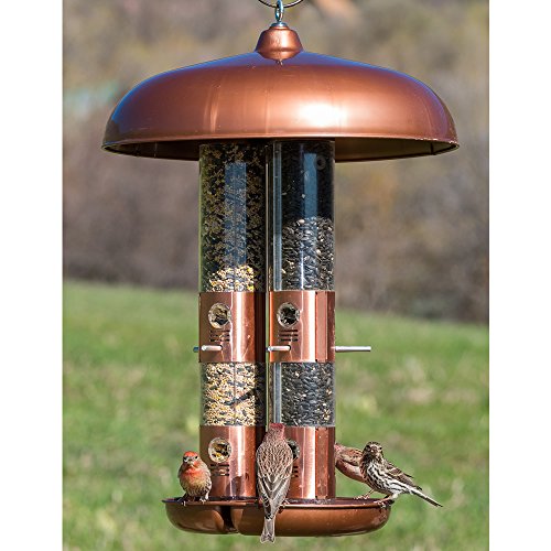 PerkyPet 71032 Copper Finish Triple Tube Bird Feeder Buy Online in