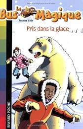 Pris dans la glace