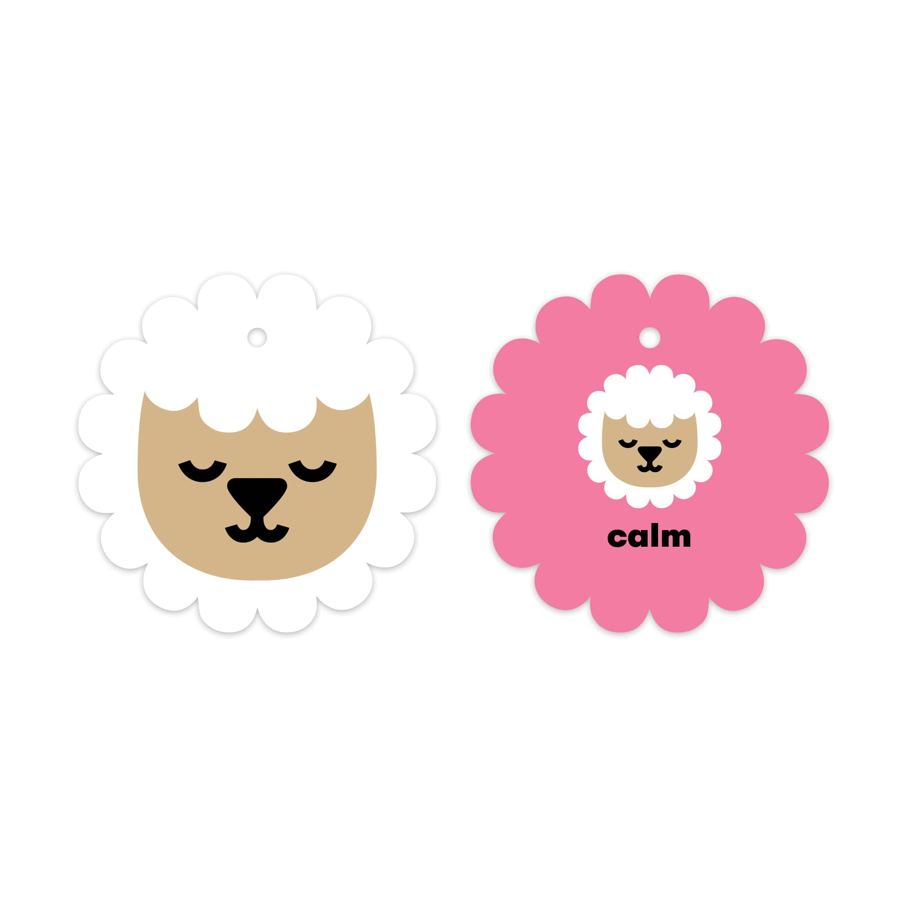 Mudpuppy How Are You Feeling? — Shaped Flashcards 10 Durable Double Sided Animal Emotion Cards And Reclosable Ring With Colorful Art For Ages 1+ Great For Preschool Or Travel For Teachers And Parents