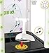 Brio Singing Stage