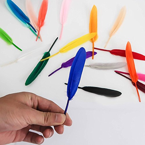 TOAOB 250pcs 19 Color Natural Goose Feathers 4-6 Inch for DIY Crafts Wedding Home Party Decorations and Jewelry Making