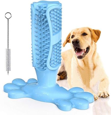 amazon dog toothbrush