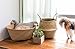 RISEON Natural Seagrass Belly Basket Panier Storage Plant Pot Collapsible Nursery Laundry Tote Bag with Handles (15