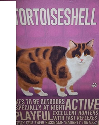 Tortoiseshell Cat Metal Wall Bar Sign Plaque - Active, Playful with fast reflexes...