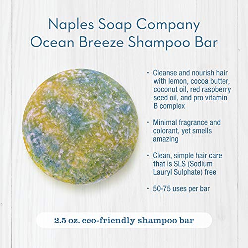 Naples Soap Company Handmade Shampoo Bar + Hair Conditioner Bar Boxed