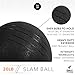 Weighted Slam Ball by Day 1 Fitness – 20 lbs - No Bounce Medicine Ball - Gym Equipment Accessories for High Intensity Exercise, Functional Strength Training, Cardio