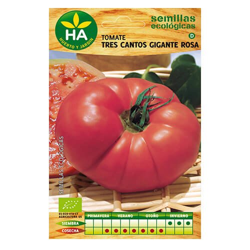 2 SOBRES DE SEMILLAS ECOLÓGICAS TOMATE TRES CANTOS GIGANTE ROSA HA ...