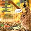 ERKOON-Rabbit-Toys-Hamster-Small-Animals-Treats-Bunny-Chinchilla-Chew-Toy-for-Teeth-Natural-Apple-Wood-Sticks-Boredom-Breaker-for-Guinea-Pigs-Chinchillas-Gerbils-Molar ERKOON Rabbit Toys, Hamster Small Animals Treats Bunny Chinchilla Chew Toy for Teeth Natural Apple Wood Sticks Boredom…
