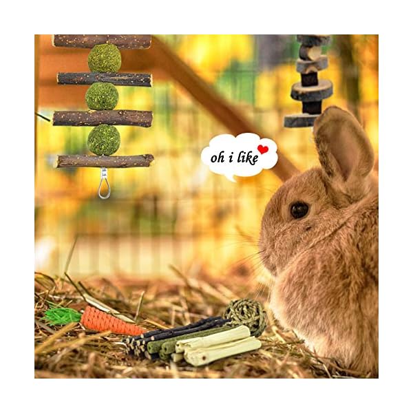ERKOON-Rabbit-Toys-Hamster-Small-Animals-Treats-Bunny-Chinchilla-Chew-Toy-for-Teeth-Natural-Apple-Wood-Sticks-Boredom-Breaker-for-Guinea-Pigs-Chinchillas-Gerbils-Molar ERKOON Rabbit Toys, Hamster Small Animals Treats Bunny Chinchilla Chew Toy for Teeth Natural Apple Wood Sticks Boredom…